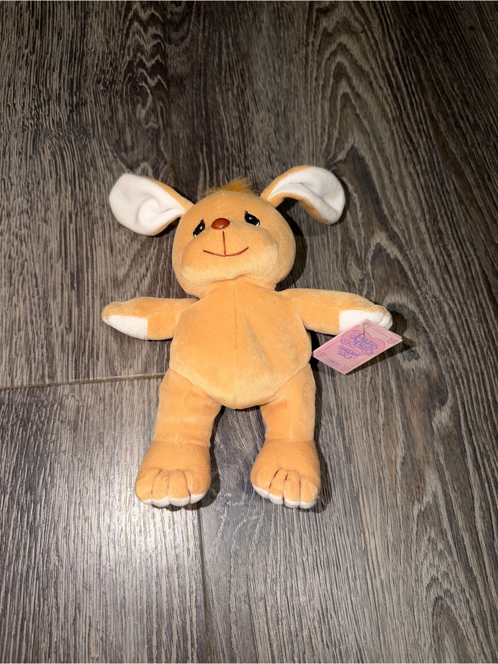 Vintage 1997 Precious Moments Tender Tails Bunny Plush Stuffed Animal 464422 NWT